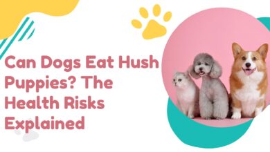 Can Dogs Eat Hush Puppies?