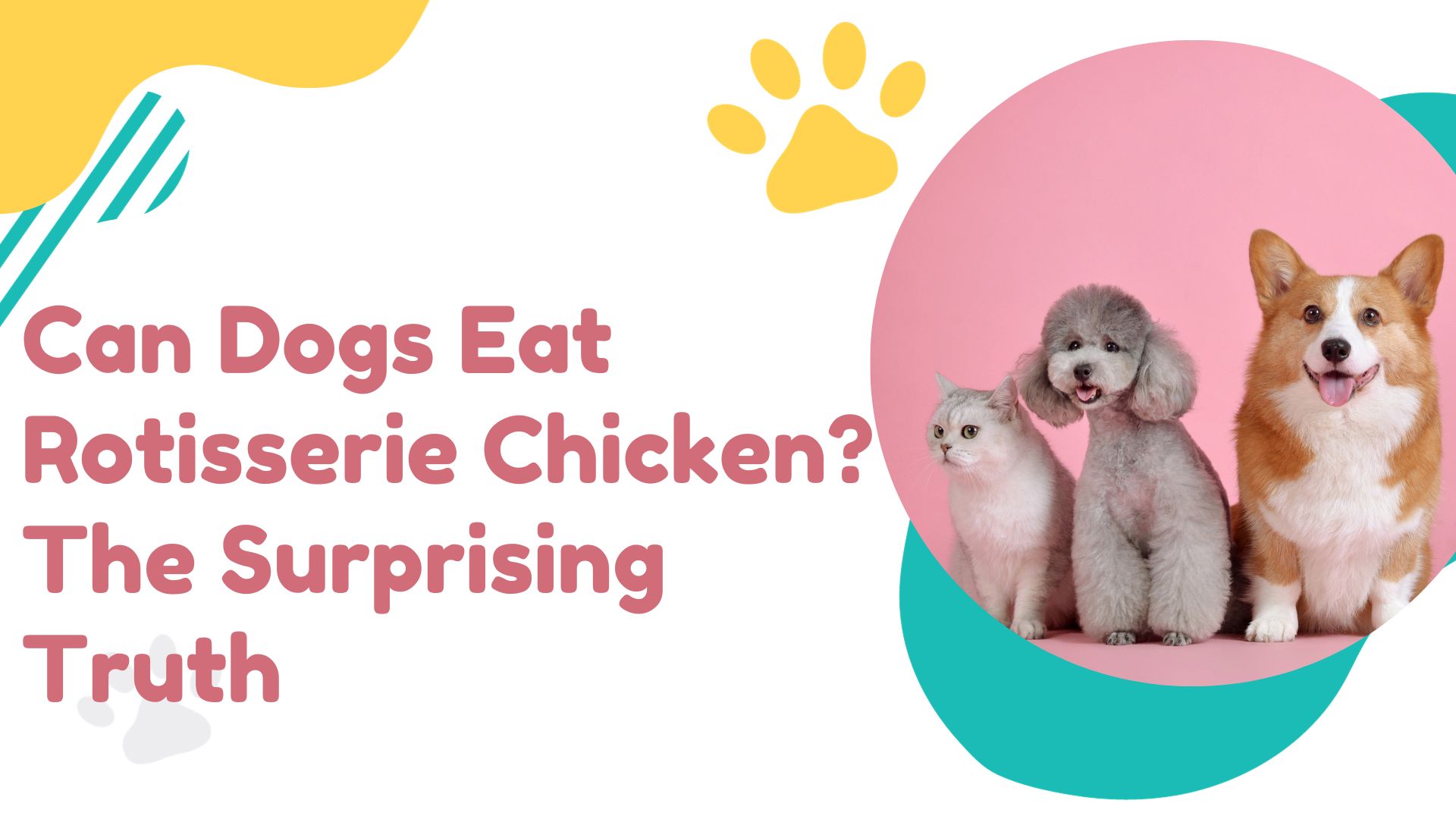 Can Dogs Eat Rotisserie Chicken?
